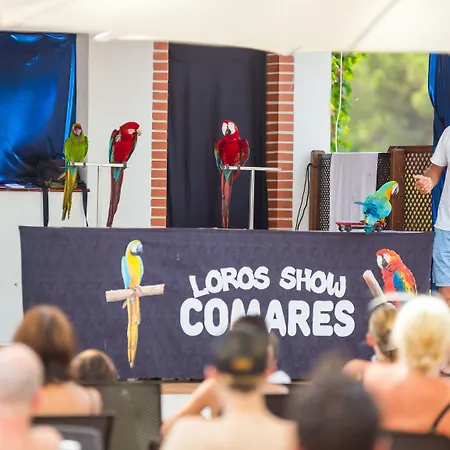 فندق Aluasun Park ماربيا