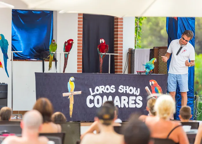 Hotel Aluasun Park Marbella