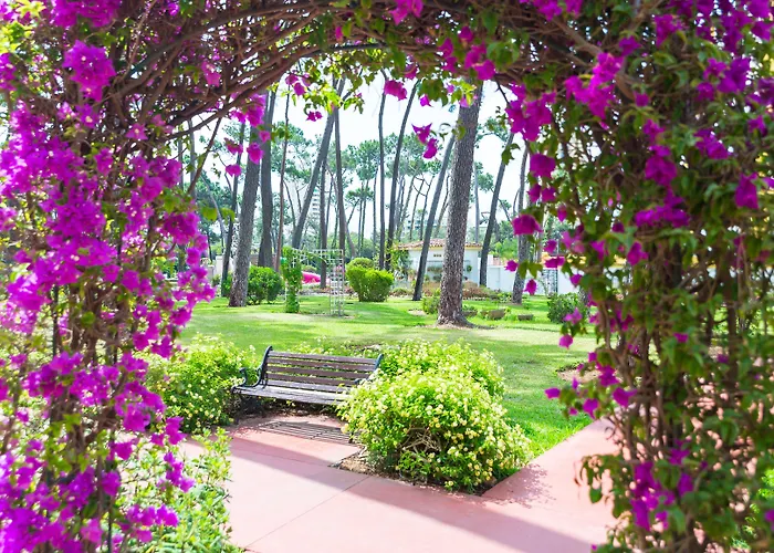 Hotel Aluasun Park 4*